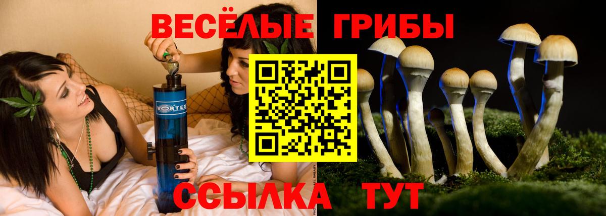Галлюциногенные грибы MAGIC MUSHROOMS Коломна